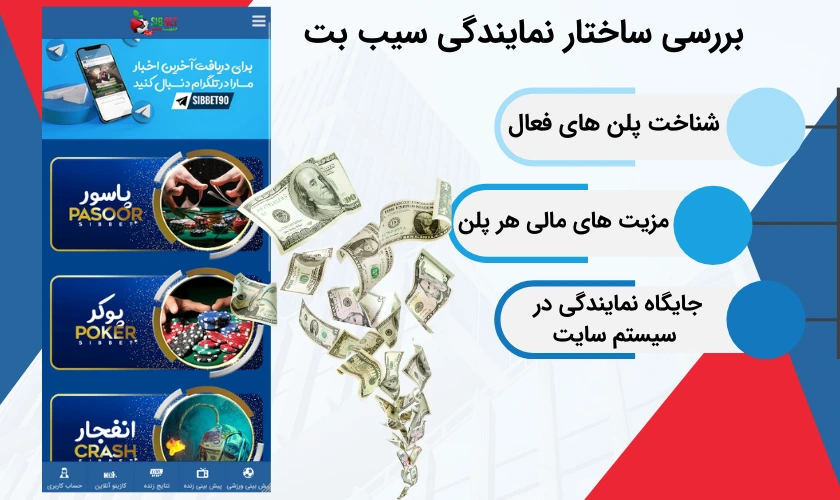 بررسی ساختار نمایندگی سیب بت
